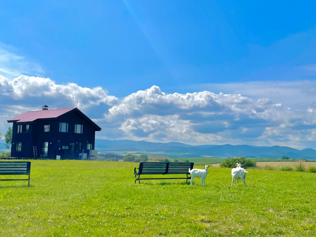 country house green view