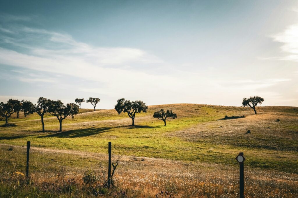 Alentejo Portugal